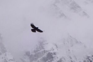 Der Berg, &uuml;ber den kein Vogel fliegt